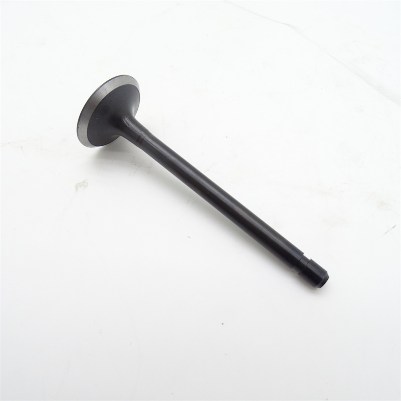 3890695进气阀 (4)