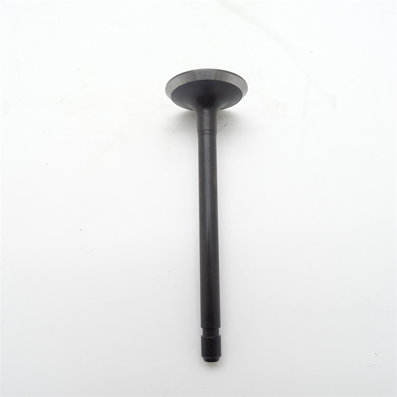 3890695进气阀 (5)