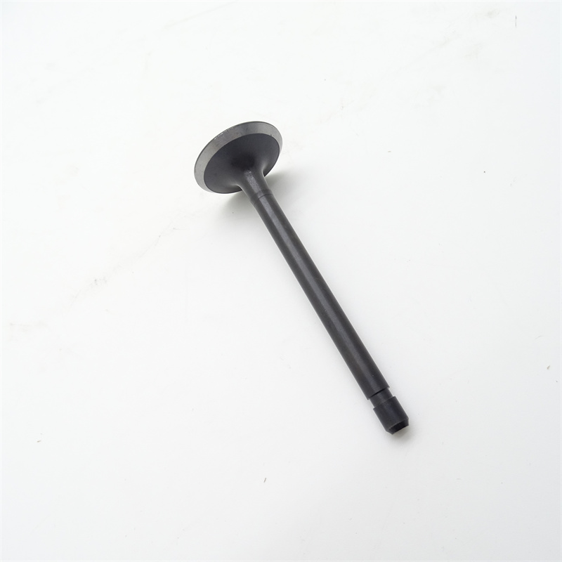 3890695进气阀 (8)