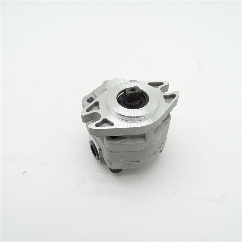 KP1009CH-FSS齿轮泵 (4)